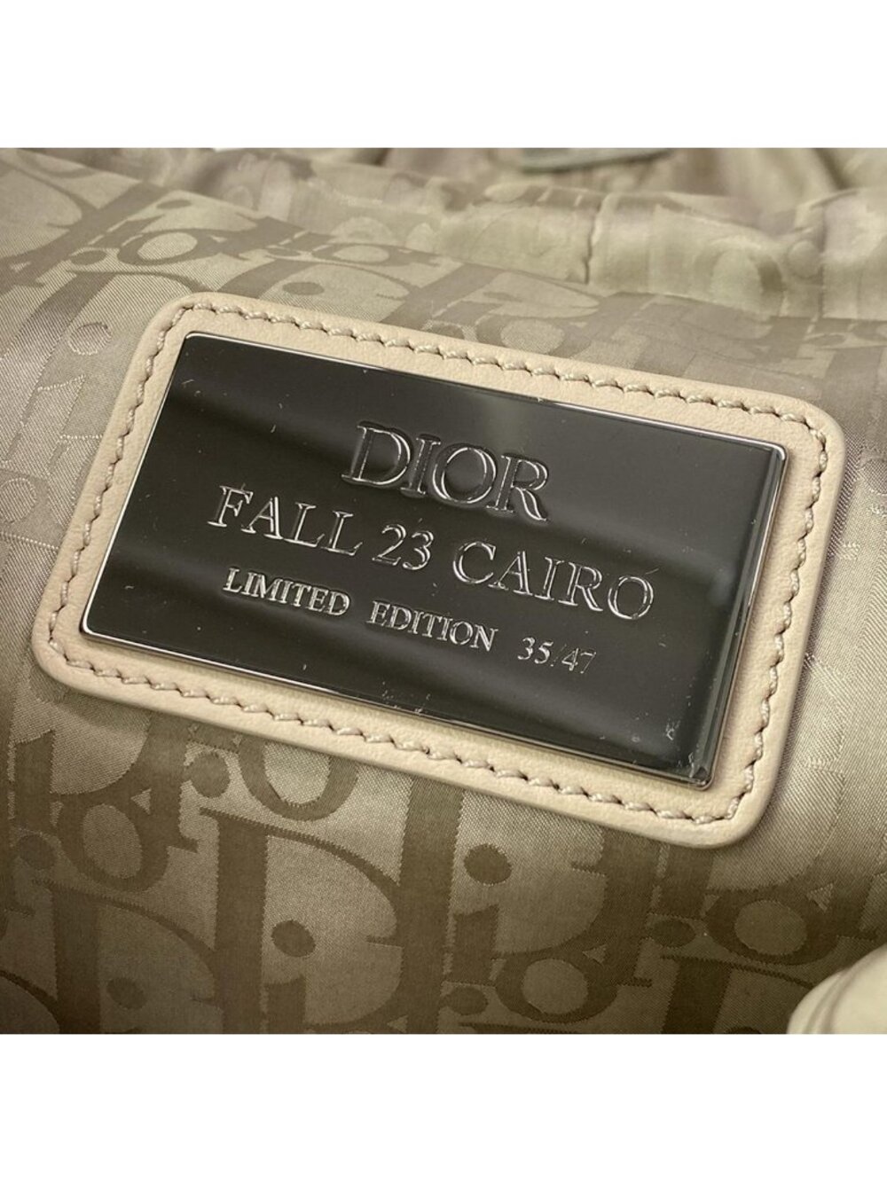 Dior Backpack Cobra Khaki Beige Fall 23 Cairo Limited Edition 35 47 Leather - Picture 12 of 15